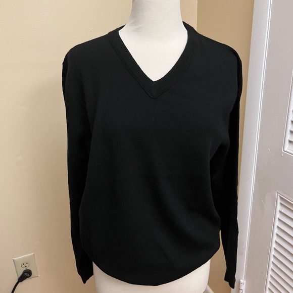J Crew men’s merino wool v neck sweater - Picture 1 of 7
